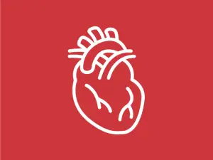 Cardiovascular System