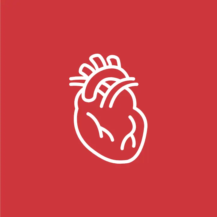 Cardiovascular System