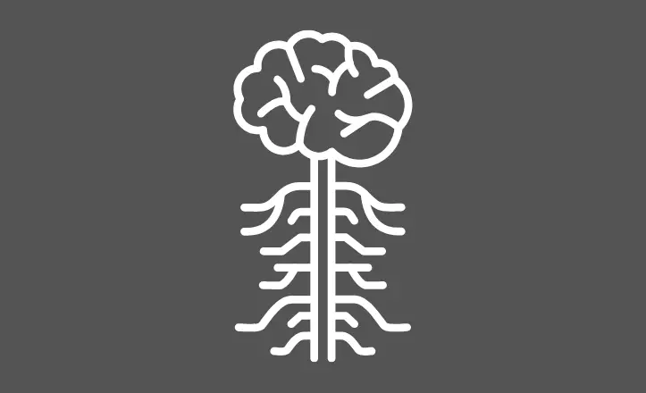 Nervous System