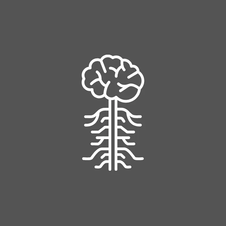 Nervous System