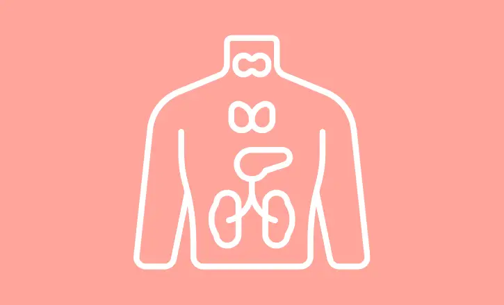 Renal, Hepatic, Endocrine, Hematologic, and Metabolic Systems