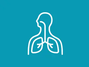 Respiratory System