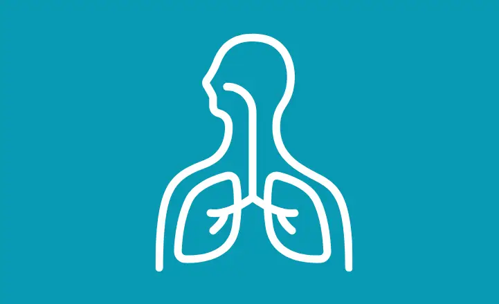 Respiratory System