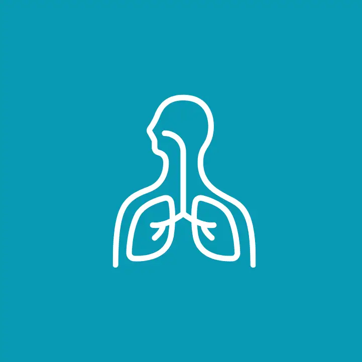 Respiratory System