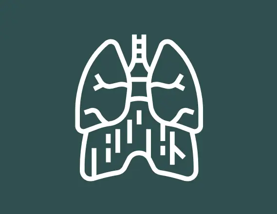 Thoracic Surgery.png